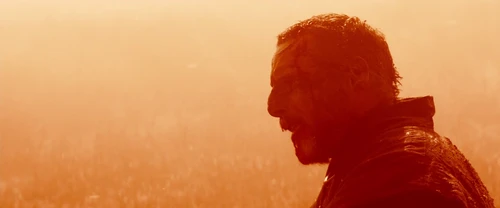 Still frame 308 from Macbeth (2015) directed by Justin Kurzel