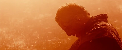 Still frame 309 from Macbeth (2015) directed by Justin Kurzel