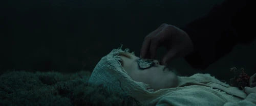 Still frame 3 from Macbeth (2015) directed by Justin Kurzel