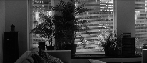 Still frame 35 from Manhattan (1979) directed by Woody Allen