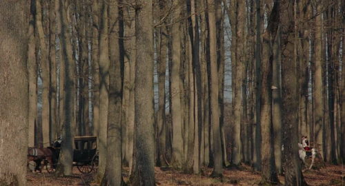 Still frame 13 from Marie Antoinette (2006) directed by Sofia Coppola