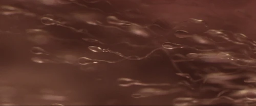 Still frame 10 from Marty Supreme (2025) directed by Josh Safdie