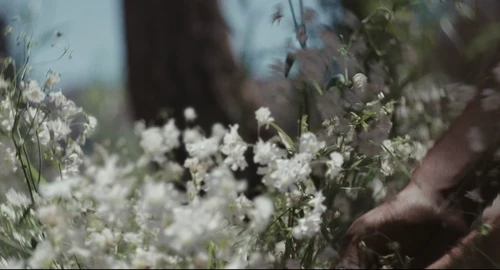 Still frame 2 from Materialists (2025) directed by Celine Song