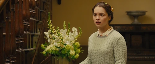 Still frame 100 from Me Before You (2016) directed by Thea Sharrock
