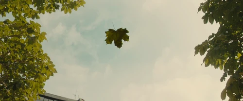 Still frame 226 from Me Before You (2016) directed by Thea Sharrock