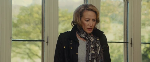 Still frame 43 from Me Before You (2016) directed by Thea Sharrock