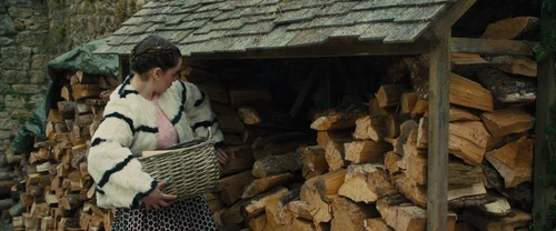 Still frame 45 from Me Before You (2016) directed by Thea Sharrock