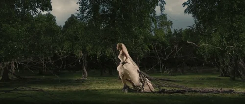 Still frame 7 from Melancholia (2011) directed by Lars von Trier