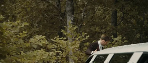 Still frame 13 from Melancholia (2011) directed by Lars von Trier