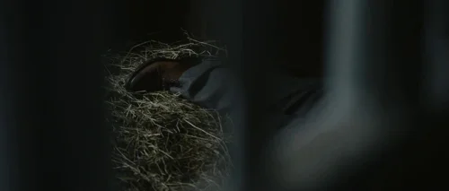 Still frame 94 from Melancholia (2011) directed by Lars von Trier