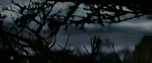 Still frame 1 from Memoirs of a Geisha (2005) directed by Rob Marshall