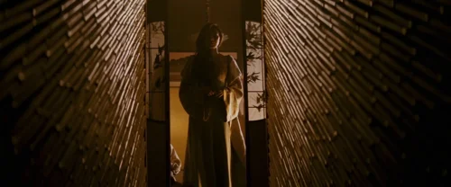 Still frame 24 from Memoirs of a Geisha (2005) directed by Rob Marshall