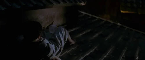 Still frame 36 from Memoirs of a Geisha (2005) directed by Rob Marshall