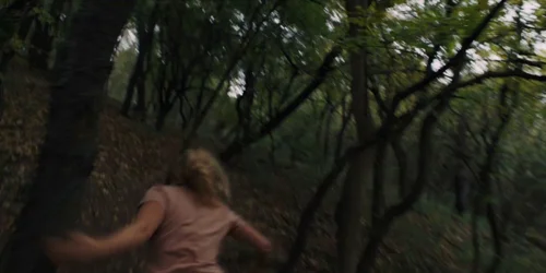 Still frame 31 from Midsommar (2019) directed by Ari Aster