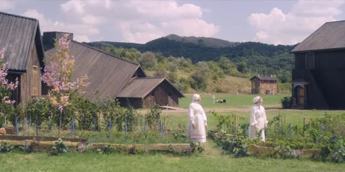 Still frame 43 from Midsommar (2019) directed by Ari Aster