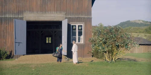 Still frame 90 from Midsommar (2019) directed by Ari Aster