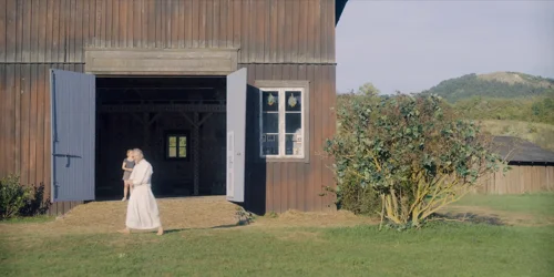 Still frame 92 from Midsommar (2019) directed by Ari Aster