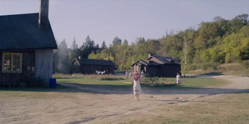Still frame 134 from Midsommar (2019) directed by Ari Aster