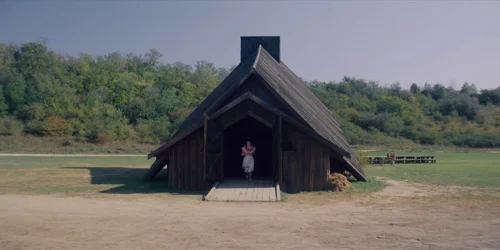 Still frame 133 from Midsommar (2019) directed by Ari Aster