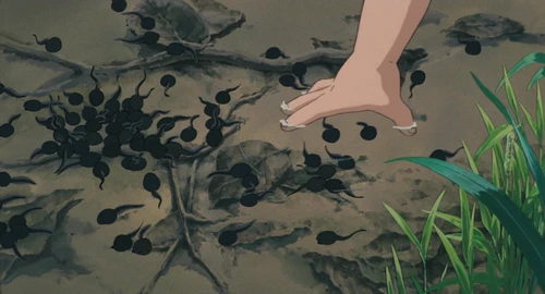 Still frame 75 from My Neighbor Totoro (1988) directed by Hayao Miyazaki