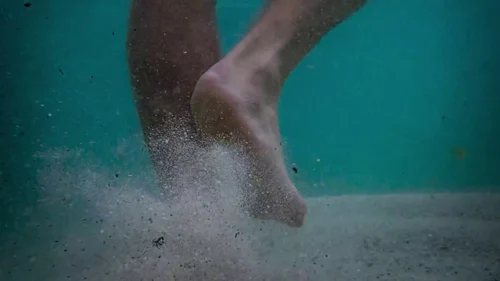 My Octopus Teacher (2020) - Film Stills and Frames