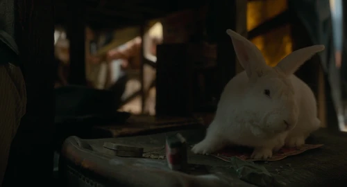 Still frame 46 from Nightmare Alley (2021) directed by Guillermo del Toro
