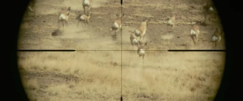 Still frame 11 from No Country for Old Men (2007) directed by Ethan Coen, Joel Coen