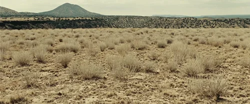 Still frame 13 from No Country for Old Men (2007) directed by Ethan Coen, Joel Coen