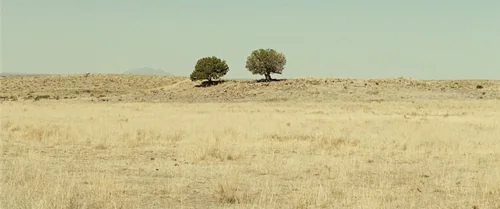 Still frame 26 from No Country for Old Men (2007) directed by Ethan Coen, Joel Coen