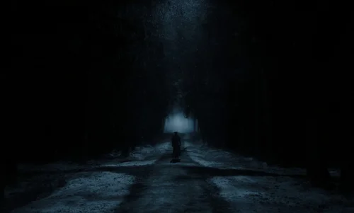 Still frame 30 from Nosferatu (2024) directed by Robert Eggers