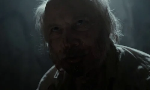 Still frame 66 from Nosferatu (2024) directed by Robert Eggers
