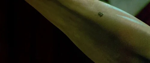 Still frame 8 from Oldboy (2003) directed by Park Chan-wook