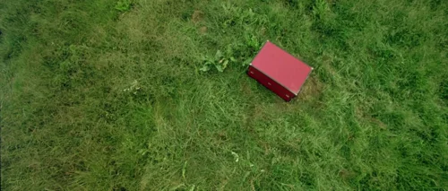 Oldboy