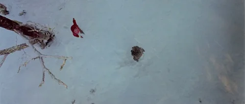 Still frame 123 from Oldboy (2003) directed by Park Chan-wook