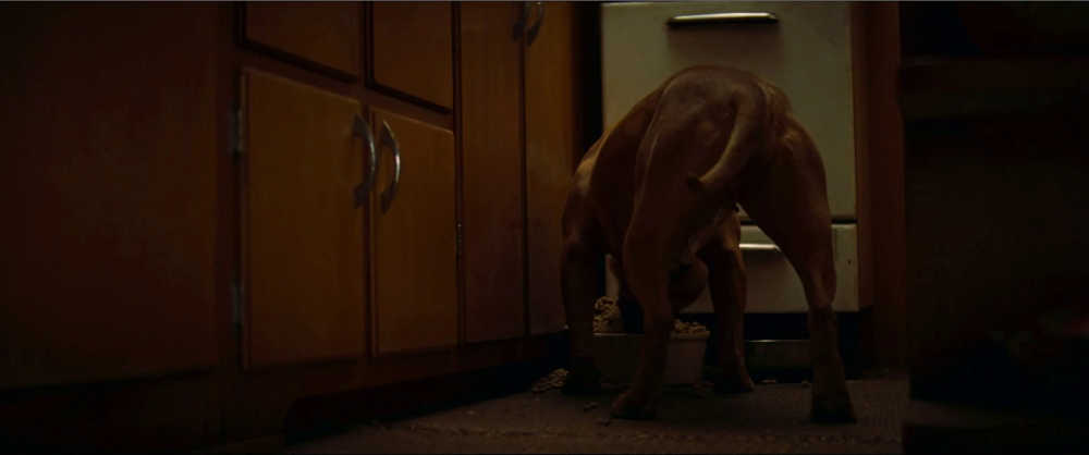 Still frame 29 from Once Upon a Time... in Hollywood (2019) directed by Quentin Tarantino