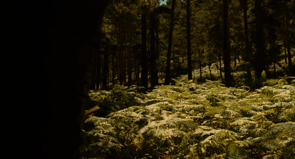 Still frame 53 from Pan's Labyrinth (2007) directed by Guillermo del Toro