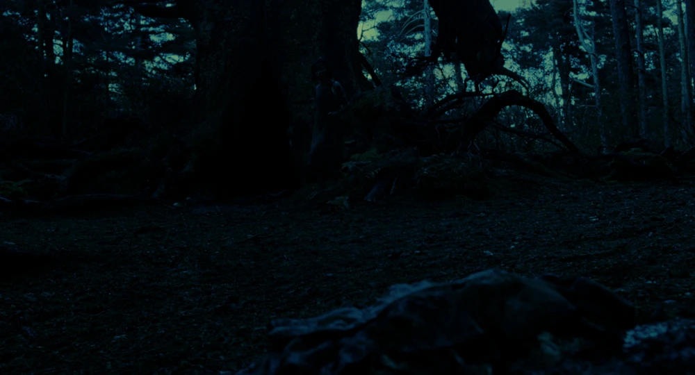 Still frame 65 from Pan's Labyrinth (2007) directed by Guillermo del Toro