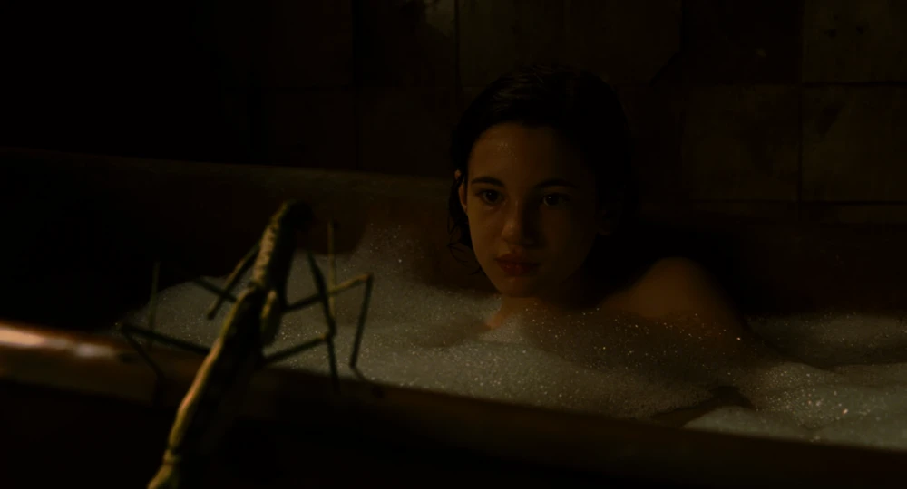 Still frame 76 from Pan's Labyrinth (2007) directed by Guillermo del Toro