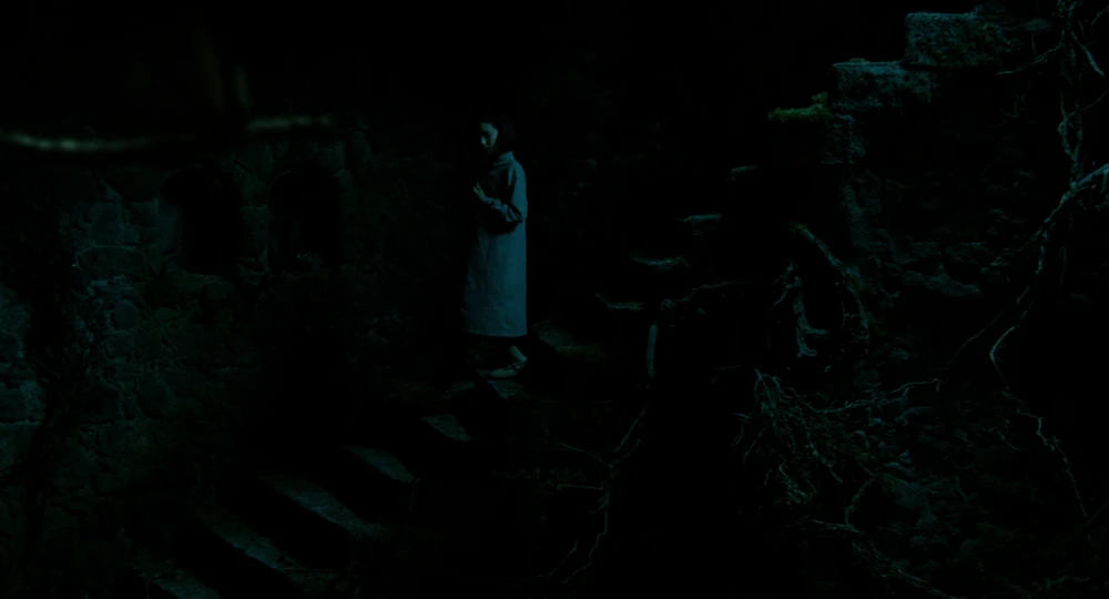Still frame 77 from Pan's Labyrinth (2007) directed by Guillermo del Toro