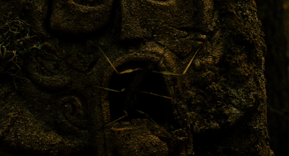 Still frame 8 from Pan's Labyrinth (2007) directed by Guillermo del Toro