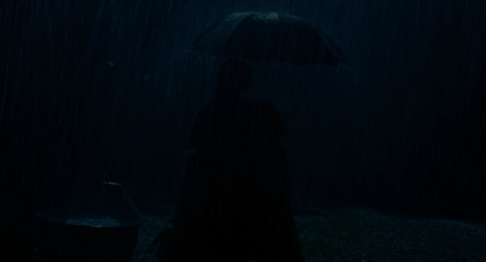 Still frame 160 from Pan's Labyrinth (2007) directed by Guillermo del Toro