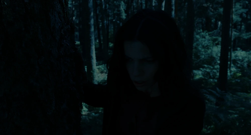 Still frame 168 from Pan's Labyrinth (2007) directed by Guillermo del Toro