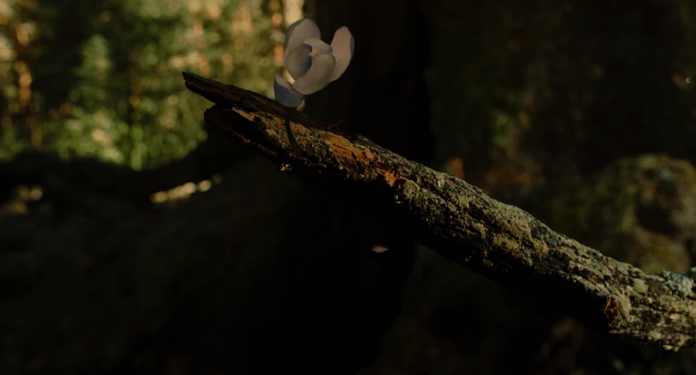 Still frame 198 from Pan's Labyrinth (2007) directed by Guillermo del Toro