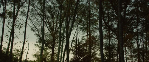 Still frame 83 from Paper Towns (2015) directed by Jake Schreier