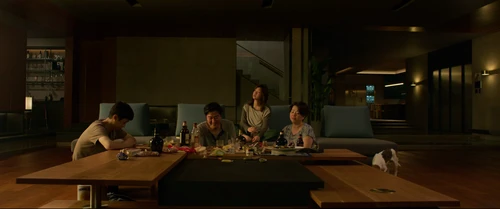 Still frame 133 from Parasite (2019) directed by Bong Joon Ho