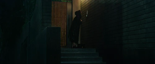 Still frame 141 from Parasite (2019) directed by Bong Joon Ho