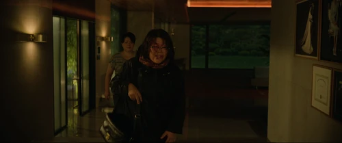 Still frame 142 from Parasite (2019) directed by Bong Joon Ho