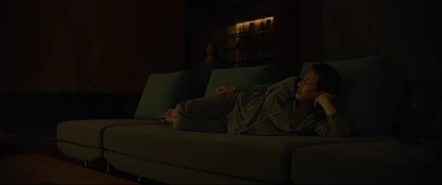 Still frame 186 from Parasite (2019) directed by Bong Joon Ho