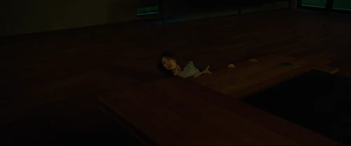 Still frame 192 from Parasite (2019) directed by Bong Joon Ho