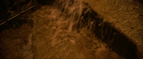 Still frame 204 from Parasite (2019) directed by Bong Joon Ho